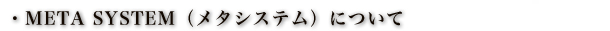 META SYSTEM(���^�V�X�e��)